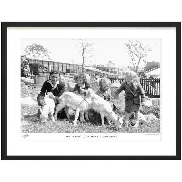 Southport, Children's Zoo C1955 by Francis Frith - Single Picture Frame Print The Francis Frith Collection Size: 45cm H x 60cm W x 2.3cm D on Productcaster.