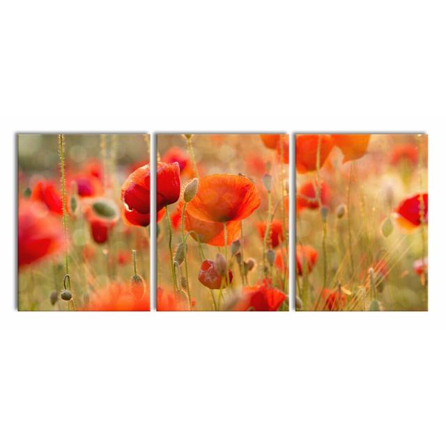 Poppy Meadow - 3 Piece Wrapped Canvas Print East Urban Home Size: 80cm H x 180cm W on Productcaster.