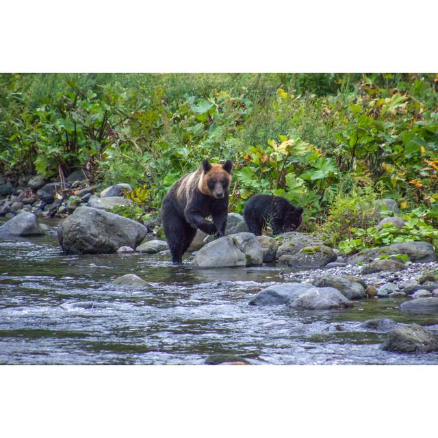 Shiretoko Is a Wildlife Paradise - Wrapped Canvas Photograph Alpen Home Size: 20cm H x 30cm W x 3.8cm D on Productcaster.