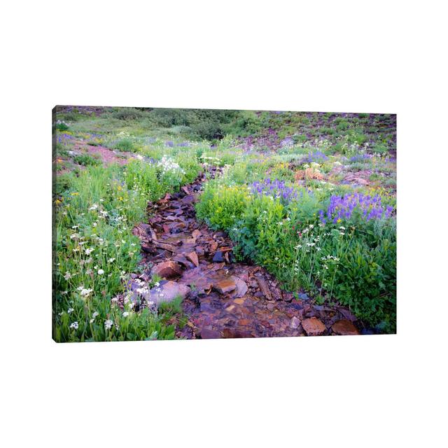 Field of Beauty L by Dan Ballard - Wrapped Canvas Art Prints Latitude Run Size: 45.72cm H x 66.04cm W x 1.905cm D on Productcaster.