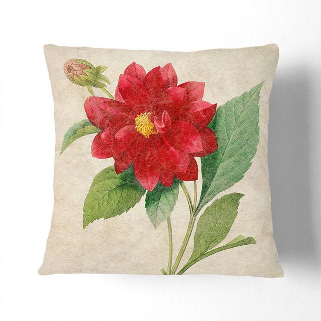 Dahlia Flowers by Pierre-Joseph Redoute Cushion with Filling East Urban Home Size: 40cm H x 40cm W x 15cm D, Backing Colour: Stone on Productcaster.