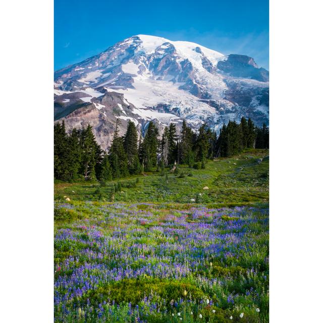 Beautiful Wildflowers and Mount Rainier by Robertcrum - Wrapped Canvas Photograph Alpen Home Size: 122cm H x 81cm W x 3.8cm D on Productcaster.