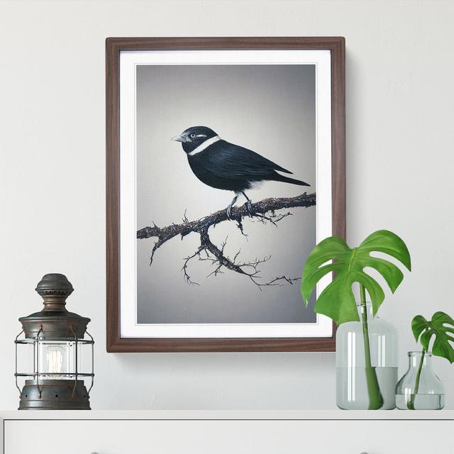 Bird Upon A Tree - Art Prints ClassicLiving Size: 36cm H x 27cm W x 2cm D, Format: Walnut Framed, Matte Colour: White on Productcaster.