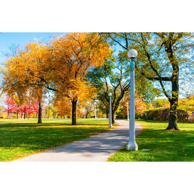 Autumn Trees by James Andrews - Wrapped Canvas Print Ebern Designs Size: 30cm H x 46cm W x 3.8cm D on Productcaster.