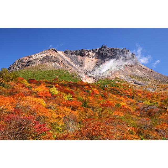 Mountain Autumn Leaves by Noririn - Wrapped Canvas Photograph Alpen Home Size: 51cm H x 76cm W on Productcaster.