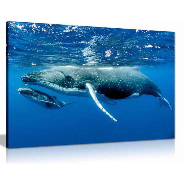 Humpback Whale & Calf Canvas Wall Art Picture Print Home Dcor Highland Dunes Size: 51cm H x 76cm W on Productcaster.