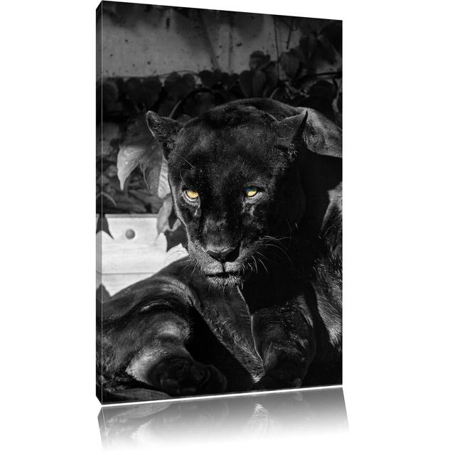 Leinwandbild Schwarzer Panther East Urban Home Größe: 100 cm H x 70 cm B on Productcaster.