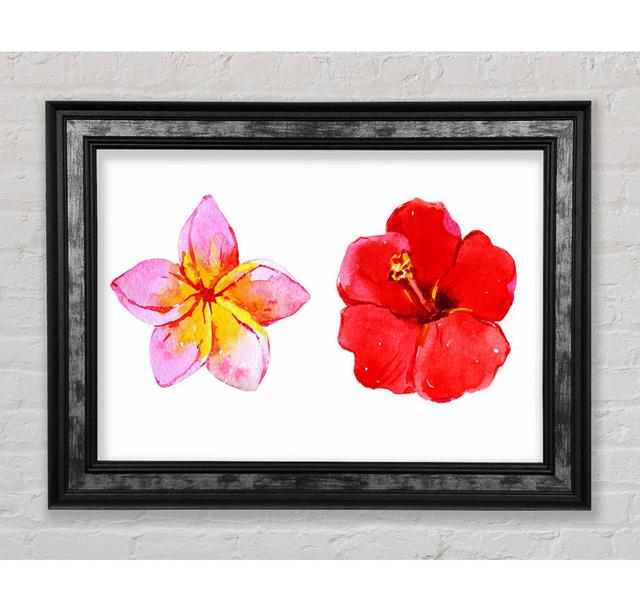 Amaryllis Beauty - Print Bright Star Size: 84.1cm H x 142.2cm W x 8cm D on Productcaster.