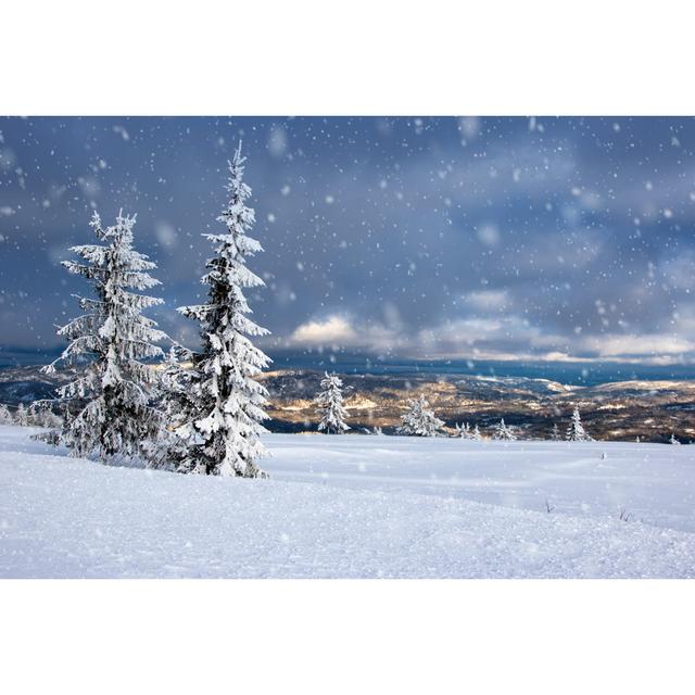 Winter In Norway by Baiaz - Wrapped Canvas Print 17 Stories Size: 51cm H x 76cm W on Productcaster.