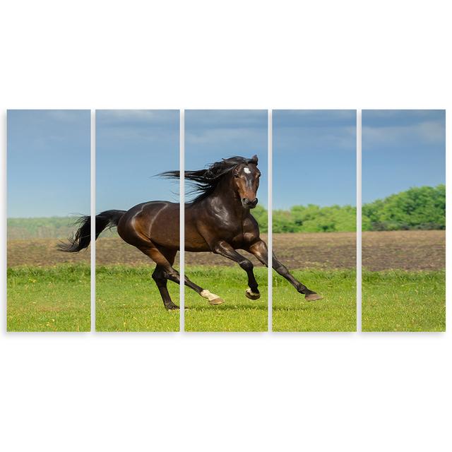 Canvas Print Horse Gallop Meadow Gracie Oaks Size: 60cm H x 150cm W on Productcaster.