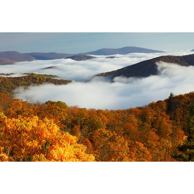 Shenandoah National Park von Beklaus - Kunstdrucke auf Leinwand Alpen Home Größe: 50 cm H x 75 cm B on Productcaster.