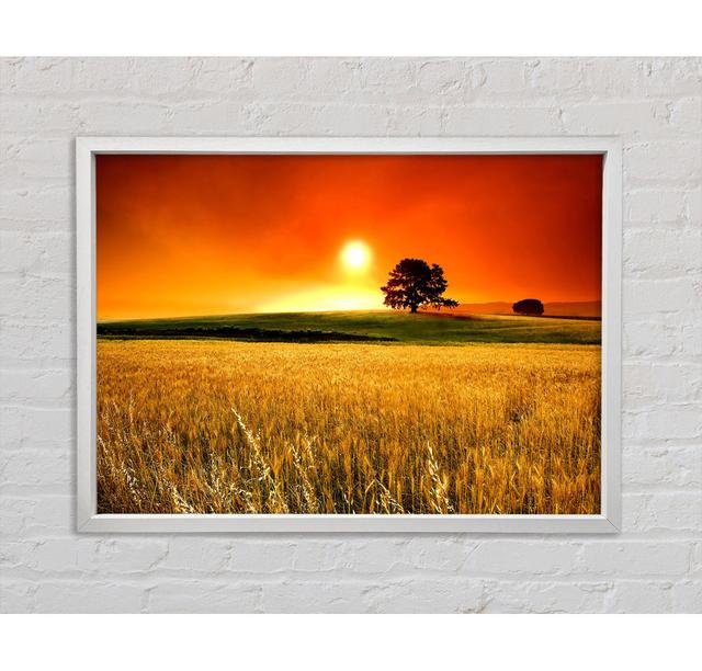 Sunny Day - Single Picture Frame Art Prints on Canvas Bright Star Size: 59.7cm H x 84.1cm W on Productcaster.