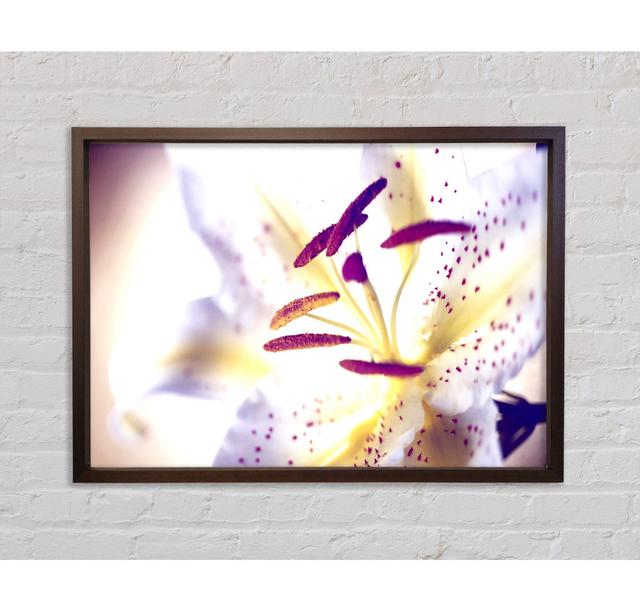 Tiger Lily - Single Picture Frame Art Prints on Canvas Bright Star Size: 59.7cm H x 84.1cm W x 3.3cm D on Productcaster.