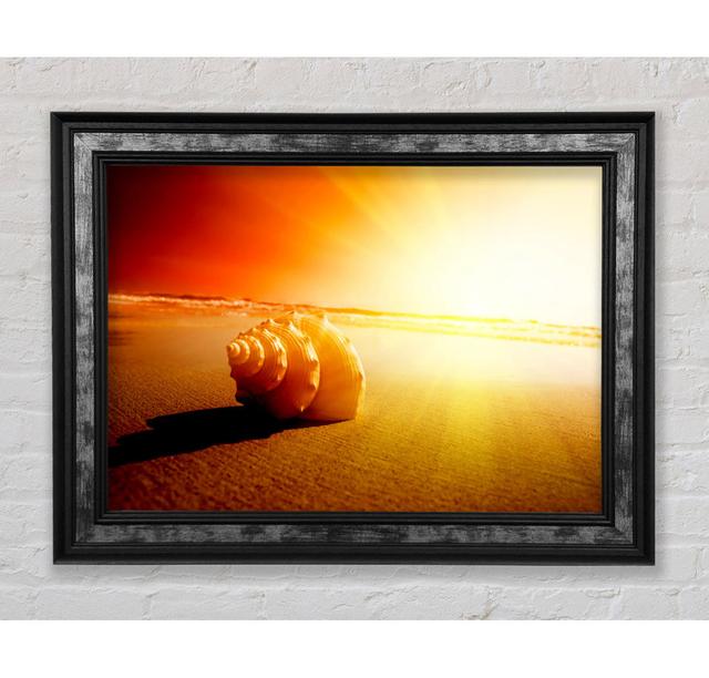 Seashell And Sun - Single Picture Frame Art Prints Bright Star Size: 59.7cm H x 84.1cm W x 8cm D on Productcaster.