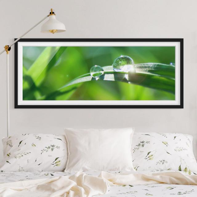 Green Ambiance II - Picture Frame Graphic Art Ebern Designs Size: 40cm H x 100cm W x 2cm D, Frame Option: Black Framed on Productcaster.