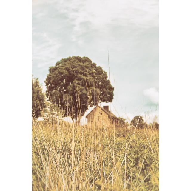 Grass and Sky Light by Aledanda - Wrapped Canvas Photograph Rosalind Wheeler Size: 30cm H x 30cm W on Productcaster.