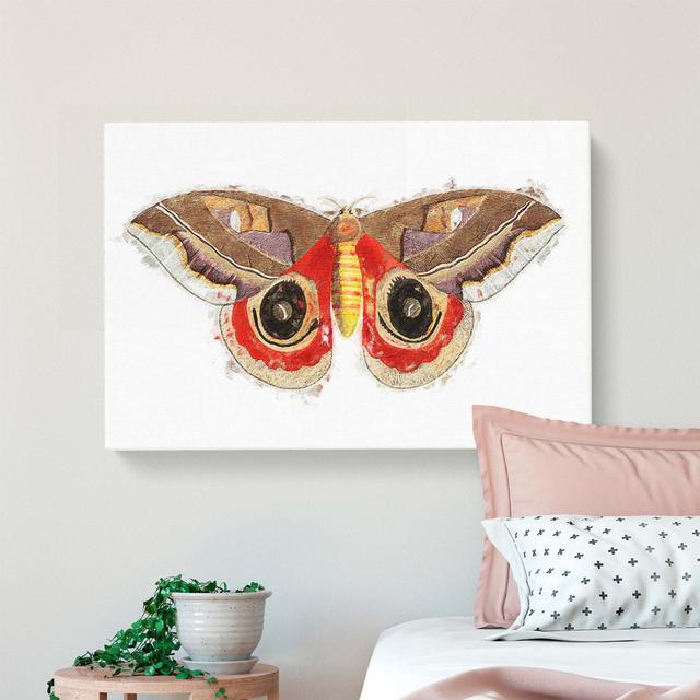 Automeris Moth by George Shaw - Wrapped Canvas Painting Pint East Urban Home Size: 50cm H x 76cm W x 3cm D on Productcaster.