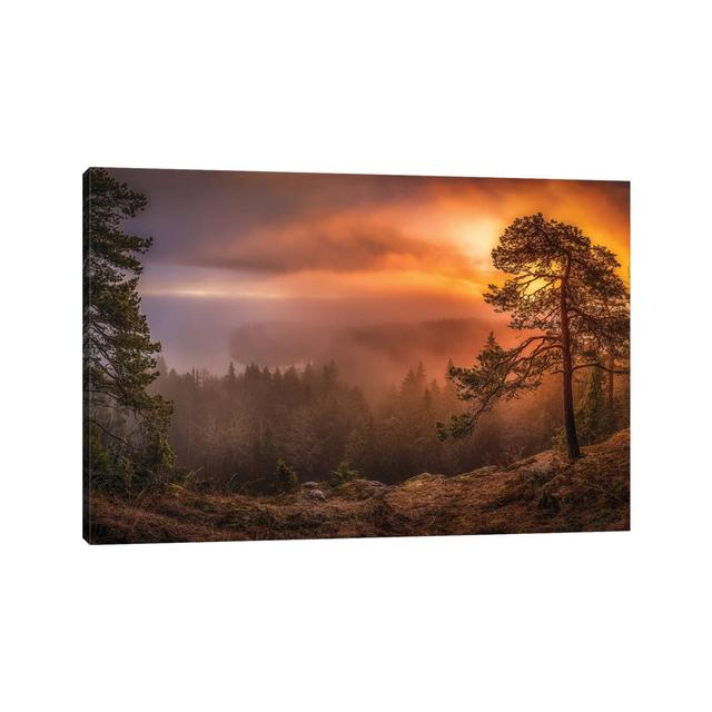 Freshness of Autumn by Lauri Lohi - Wrapped Canvas Photograph Alpen Home Size: 45.72cm H x 66.04cm W x 3.81cm D on Productcaster.