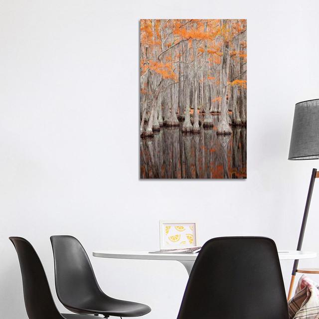 USA, George Smith State Park, Georgia. Fall Cypress Trees. by Joanne Wells - Wrapped Canvas Gallery-Wrapped Canvas Giclée Union Rustic Size: 101.60cm on Productcaster.