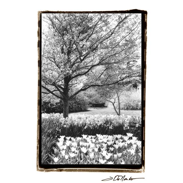 Springtime Garden III - Wrapped Canvas Art Prints Marlow Home Co. Size: 122cm H x 81cm W x 3.8cm D on Productcaster.