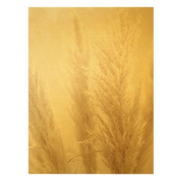 Pampas Grass in the Sunlight by Monika Strigel - Wrapped Canvas Photograph Ebern Designs Size: 80cm H x 60cm W x 2cm D on Productcaster.