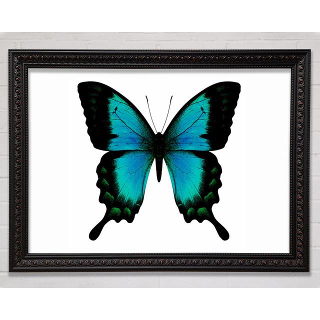 Turquoise Butterfly Wings - Single Picture Frame Art Prints Bright Star Size: 59.7cm H x 84.1cm W on Productcaster.