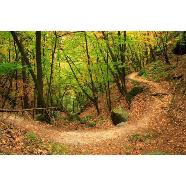 Autumn Forest - No Frame Print on Canvas Alpen Home Size: 30cm H x 46cm W on Productcaster.