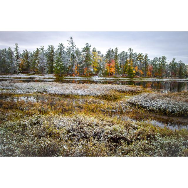 Tahquamenon Falls State Park by Ehrlif - Wrapped Canvas Print Alpen Home Size: 81cm H x 122cm W on Productcaster.