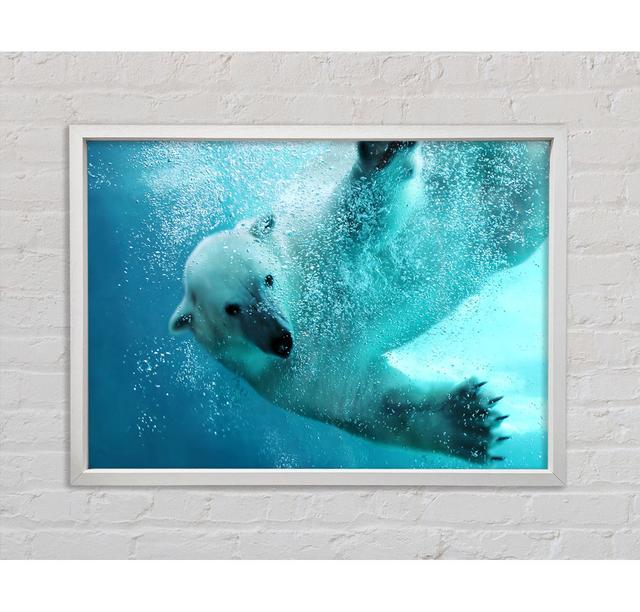 Eisbär schwimmen - Einzelner Bilderrahmen Kunstdrucke auf Leinwand Bright Star Größe: 100 cm H x 141,4 cm B x 3,3 cm T on Productcaster.