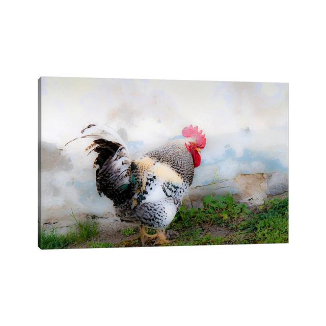 The Austrian Rooster, Austria by Jim Nilsen - Wrapped Canvas Gallery-Wrapped Canvas Giclée Brambly Cottage Size: 30.48cm H x 45.72cm W x 1.91cm D on Productcaster.