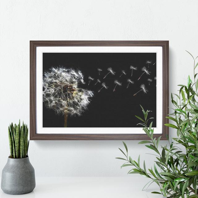 Dandelion Seeds Vol.10 - Picture Frame Graphic Art East Urban Home Size: 48cm H x 65cm W x 2cm D, Frame Option: Walnut Framed on Productcaster.