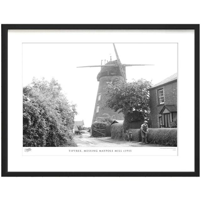 Tiptree, Messing Maypole Mill C1955 by Francis Frith - Single Picture Frame Print The Francis Frith Collection Size: 60cm H x 80cm W x 2.3cm D on Productcaster.