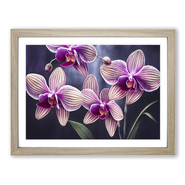 Enticing Orchid Flowers - Picture Frame Graphic Art Marlow Home Co. Size: 34cm H x 46cm W, Frame Colour: Oak on Productcaster.