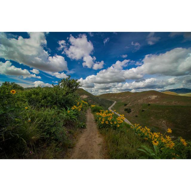 Yellow Wildflowers - Wrapped Canvas Photograph 17 Stories Size: 30cm H x 46cm W on Productcaster.