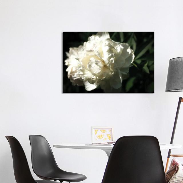 White Peony In Spring Latitude Run Size: 66.04cm H x 101.6cm W x 1.91cm D on Productcaster.