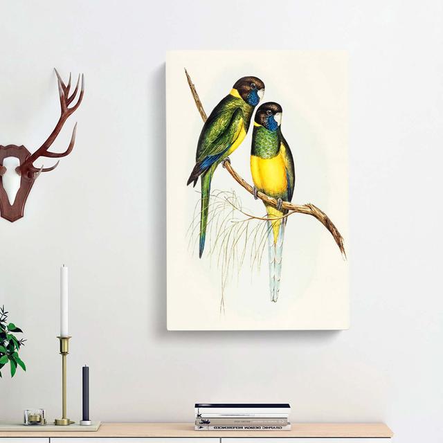 Bauer's Parakeets by Elizabeth Gould - Wrapped Canvas Painting Pint East Urban Home Size: 76cm H x 50cm W x 3cm D on Productcaster.