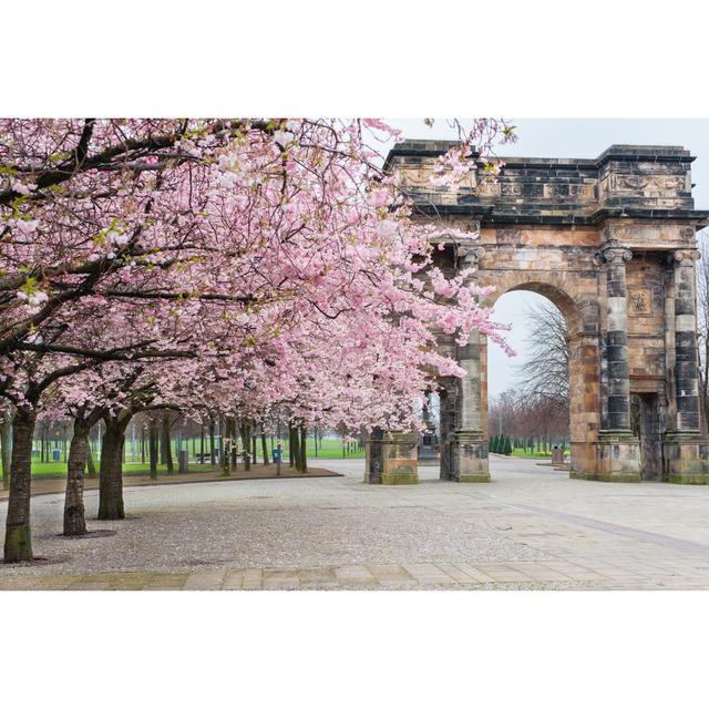 Spring Pink Trees Outside Glasgow Green Ebern Designs Size: 81cm H x 122cm W x 3.8cm D on Productcaster.