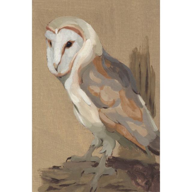 Common Barn Owl Portrait II by Jacob Green - Wrapped Canvas Painting Union Rustic Size: 76cm H x 51cm W x 3.8cm D on Productcaster.