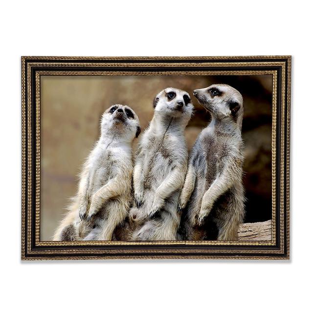 Trio Of Leaning Meerkats - Print Ebern Designs Size: 84.1cm H x 118.9cm W x 3cm D on Productcaster.