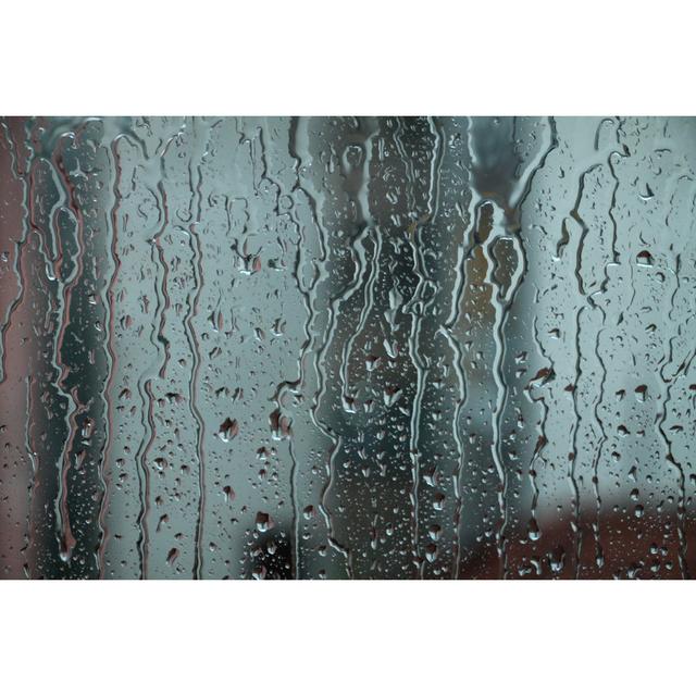 Rainy Day by Ellica_S - Wrapped Canvas Photograph 17 Stories Size: 81cm H x 122cm W on Productcaster.