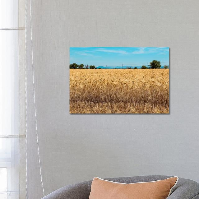 France Provence Valensole Composition II by Alexandre Venancio - Wrapped Canvas Photograph Brambly Cottage Size: 45.72cm H x 66.04cm W x 1.905cm D on Productcaster.