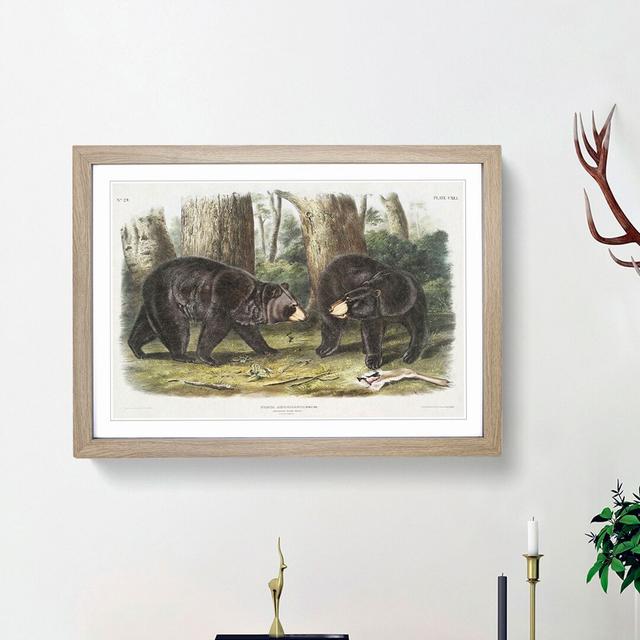 American Black Bears by J.W. Audubon - Single Picture Frame Painting East Urban Home Size: 24cm H x 33cm W x 2cm D, Frame Option: Oak Framed on Productcaster.