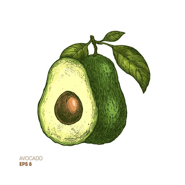 Avocado Maturi Size: 76cm H x 76cm W x 3.8cm D on Productcaster.