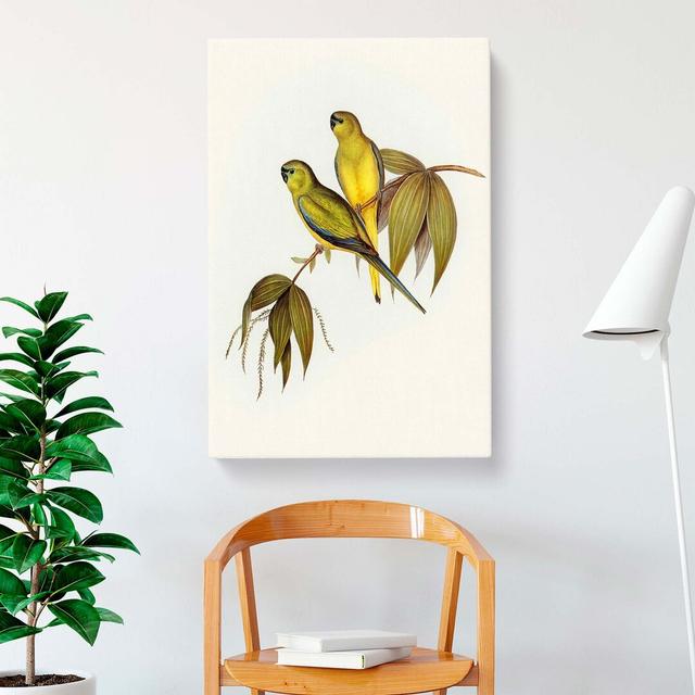 Rock Grass-Parakeets by Elizabeth Gould - Wrapped Canvas Painting Print East Urban Home Size: 60cm H x 40cm W x 3cm D on Productcaster.