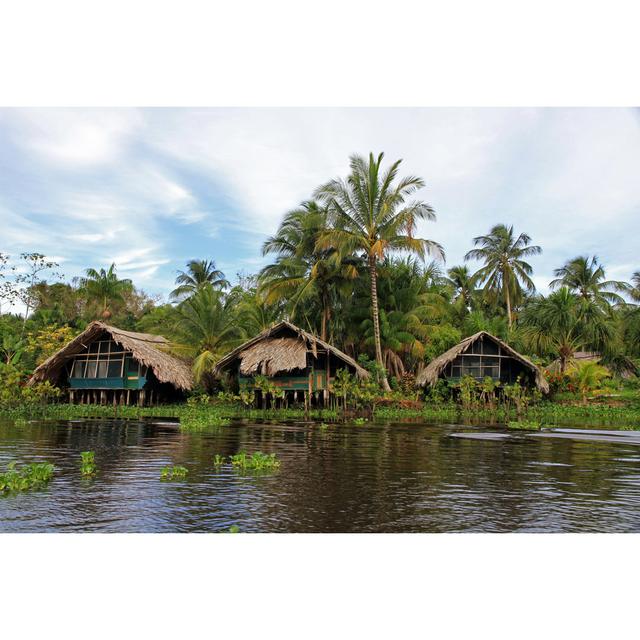 Orinoco River by Tomasz Dutkiewicz - Wrapped Canvas Photograph Pergo Classics Size: 81cm H x 122cm W on Productcaster.