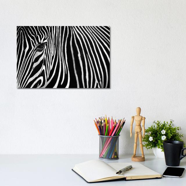 Zebra In Lisbon Zoo Ivy Bronx Format: Wrapped Canvas, Size: 20.5cm H x 31cm W x 1.91cm D on Productcaster.