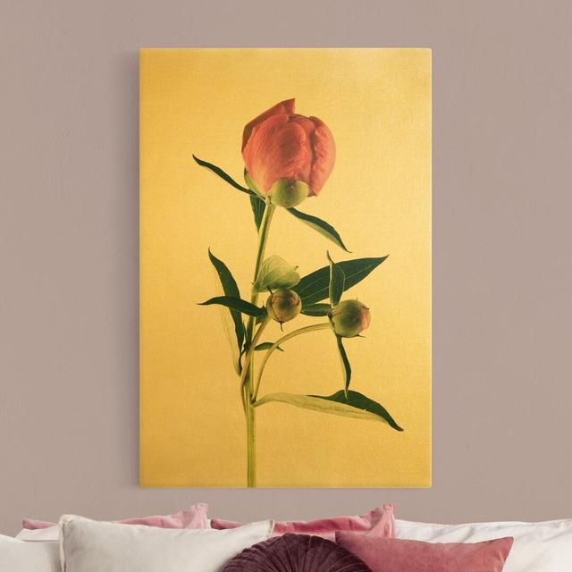 Pink Peony on White - Wrapped Canvas Art Prints Canora Grey Size: 90cm H x 60cm W on Productcaster.