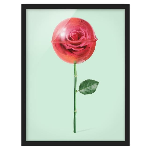 Rose with Lollipop by Jonas Loose - Picture Frame Graphic Art Bilderwelten Size: 55cm H x 40cm W x 2cm D, Frame Option: Black Framed on Productcaster.