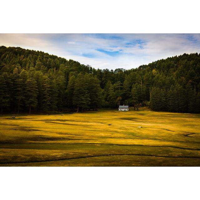 Khajjiar Valley, Indien von Vivek_Renukaprasad - Leinwanddrucke Alpen Home Größe: 75 cm H x 50 cm B on Productcaster.