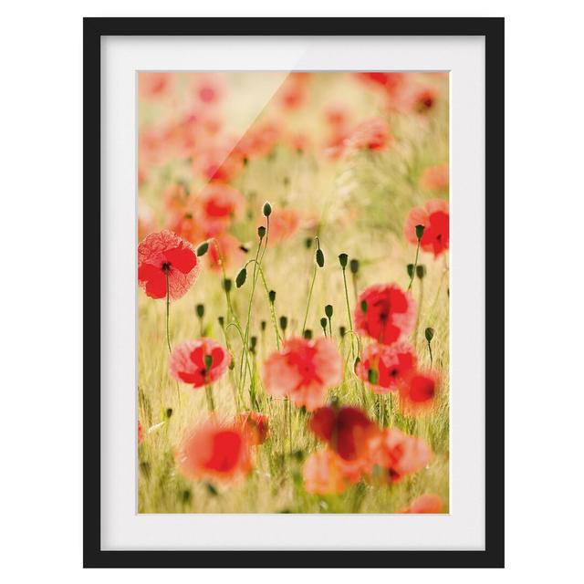 'Summer Poppies' - Picture Frame Photograph Print on Paper East Urban Home Frame Option: Matt black, Size: 70cm H x 50cm W x 2cm D on Productcaster.